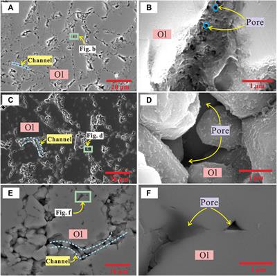 Influence of Saline Fluids on the Electrical Conductivity of Olivine Aggregates at High Temperature and High Pressure and Its Geological Implications